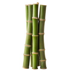 Fototapeta premium Green bamboo plant elements isolated design, Asian tropical forest stems collection, natural botanical illustration set