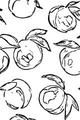 hand drawn pictures of apricots