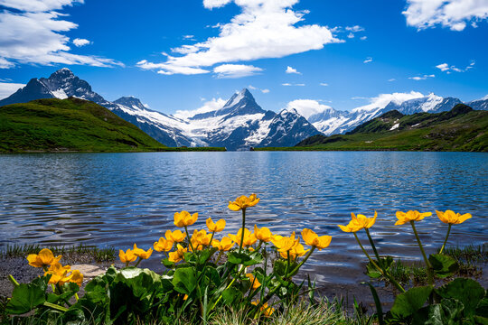 Bachalpsee, First Cliff Walk, Switzerland