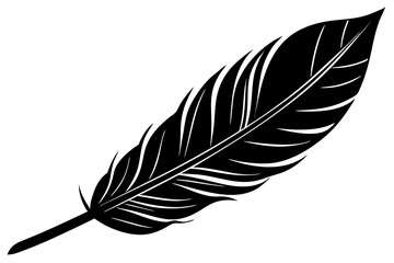 feather black silhouette vector, Simple silhouette Design vector icon with white background. 