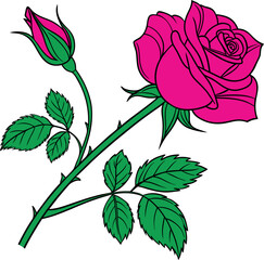 illustration of a rose