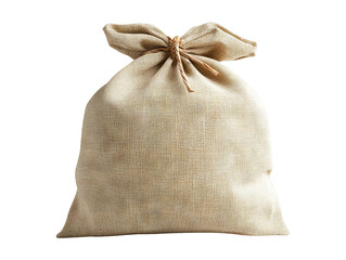 Isolated 3D Bag on Transparent Background for Baking and Storage