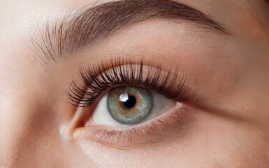 Obraz premium A close-up of a human eye. The eye is blue with long, dark eyelashes. The eyelid is lightly tinted with a subtle eyeshadow, and the eyebrow is well-defined and brown.