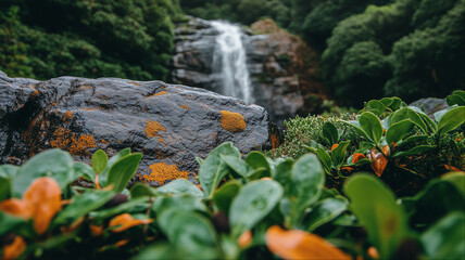 Scenic tropical waterfall framed by orange flowers and lush foliage, Natural paradise landscape