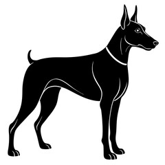Doberman Silhouette vector silhouette