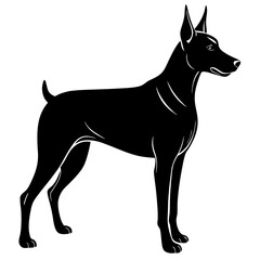 Doberman Silhouette vector silhouette