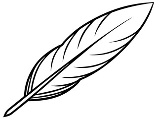 Fototapeta premium feather black Line art vector, Simple vector Design , icon with white background. 