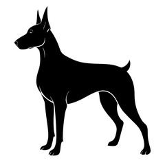 Obraz premium Doberman Silhouette vector silhouette