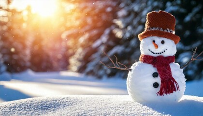 Snowman in a snowy background with sunlight