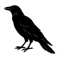 Crow Silhouette vector silhouette