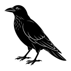 Crow Silhouette vector silhouette