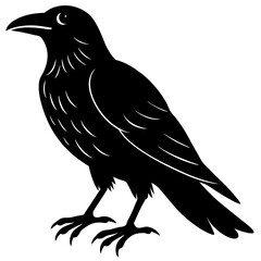 Crow Silhouette vector silhouette