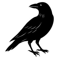 Crow Silhouette vector silhouette