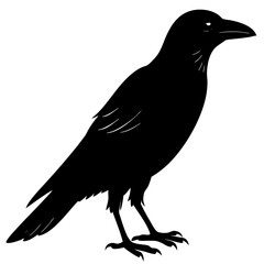 Crow Silhouette vector silhouette