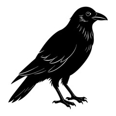 Crow Silhouette vector silhouette
