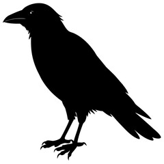 Crow Silhouette vector silhouette