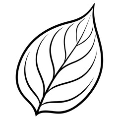 Hand-Drawn Leaf Line Art