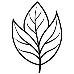 Hand-Drawn Leaf Line Art