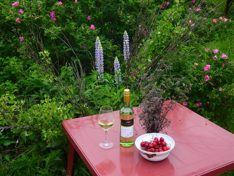 Bottle of South African Kuumba Chardonnay white wine in a garden setting with picnic style food pairings in summer