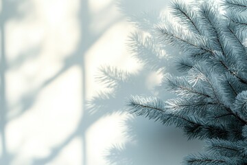 Obraz premium A close-up of a pine tree with a window in the background