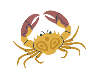 Yellow crab with detailed claws, shell patterns, and thin legs, isolated on a white background, suitable for seafood, marine, and culinary designs. Flat cartoon vector illustration