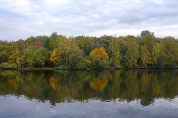 Calm natural riverside landscape with calm still river and motley colorful forest after it under autumn cloudy sky