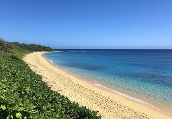 Serene Tropical Beach Scene: Secluded Cove with Turquoise Waters and Golden Sand