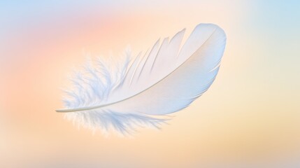 Obraz premium Single white feather floating on pastel background representing purity and lightness