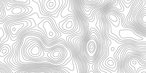 Abstract topographic contours map background, Vector contour topographic map background. Topography and geography map grid abstract backdrop, Modern design with White background.