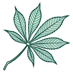 cannabis leaf vector illustration