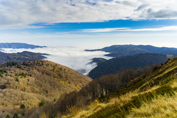 Naklejka premium Beau paysage avec les nuages dormant sur la montagne - Ballon d'Alsace.