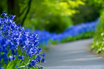 Bright blue blooms stretch alongside a curving pathway surrounded by lush greenery under the sun