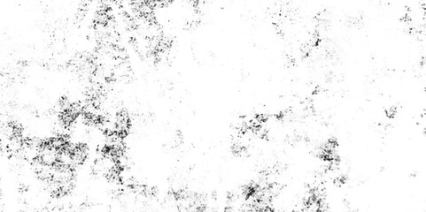 Abstract texture dust particle and dust grain on white background.Abstract grunge dust particle and dust grain texture white and grey background.Distressed overlay texture. White black dust or sand ci