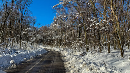 Scenic winter forest road covered in snow under a clear blue sky, capturing the essence of seasonal...