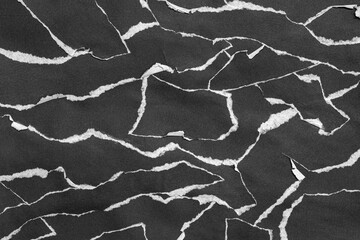 Black and White Torn Paper Collage Style, Ripped Paper Effect, Texture Abstract Background, Copy Space for Text.