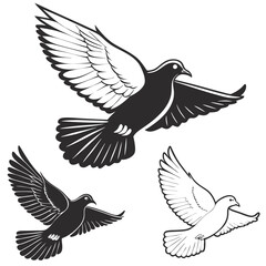 Obraz premium dove of peace
