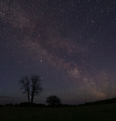 Fototapeta premium starry night sky