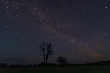 Fototapeta premium night sky with stars