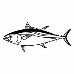 fish illustration