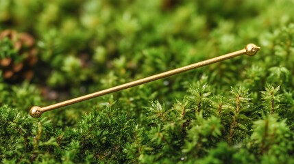 Gold industrial barbell body jewelry on moss.