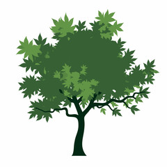 Fototapeta premium FRESH Green Tree with Leaves. Vector outline Illustration. Plant in Garden. stock illustration