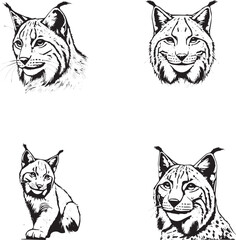 Detailed Lynx Illustrations