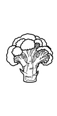 Illustration a brocolli