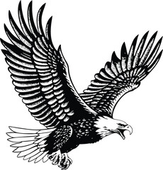 Majestic Bald Eagle in Flight Black and White Drawing, Wings Spread