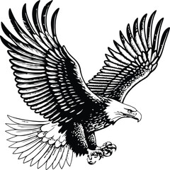 Majestic Bald Eagle Soaring, Wings Spread Wide, Black and White Drawing