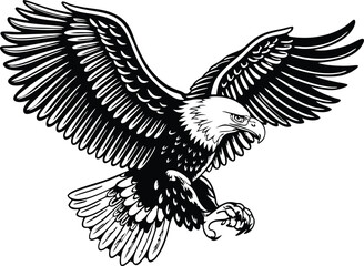 Majestic Bald Eagle Soaring Wings Black and White Illustration