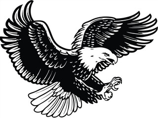 Majestic Bald Eagle Soaring, Wings Spread Wide, Black and White Illustration