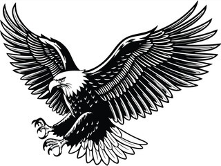 Majestic Bald Eagle Soaring, Wings Spread Wide, Black and White