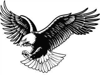 Majestic Bald Eagle Soaring, Wings Spread Wide, Black and White