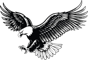 Majestic Bald Eagle in Flight Black and White Vector Illustration